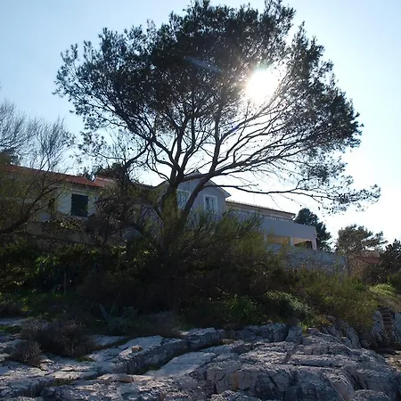 Basina Beach Apartman *